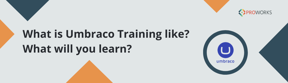 What is Umbraco Training like? What will you learn?