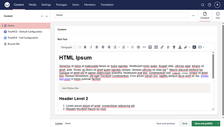 TinyMCE for Umbraco editor in the Umbraco CMS
